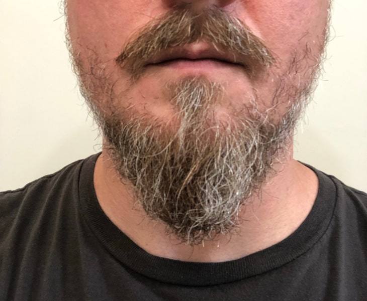 Beard After Applying Beard Oil and Combing It