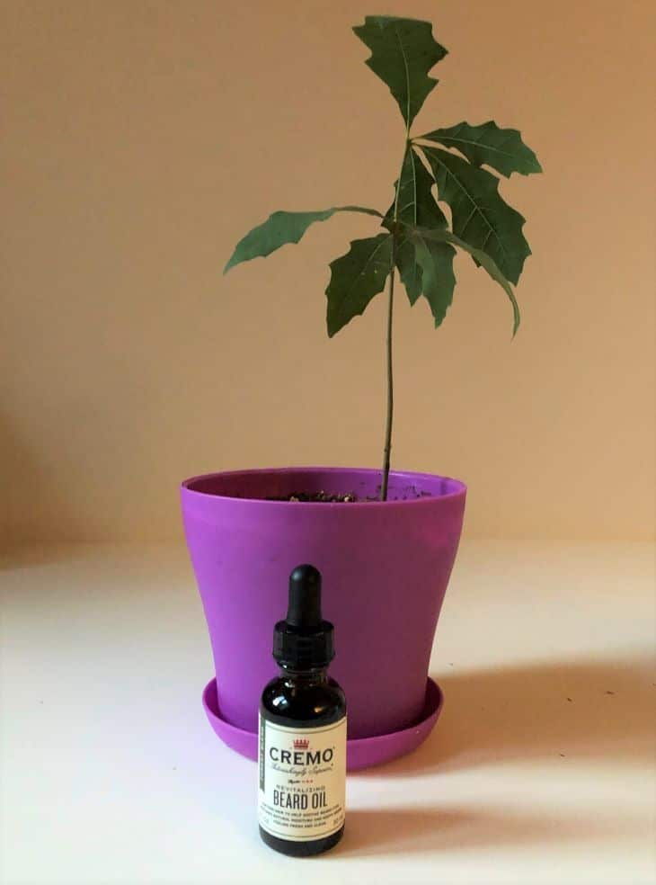 Best Forest and Woodsy Scent Beard Oil - Cremo