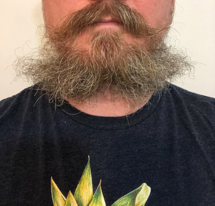 Messy Beard That Needs to Be Brushed