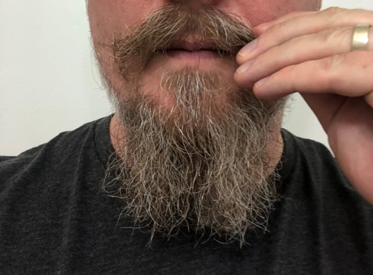 After You Brush Your Beard
