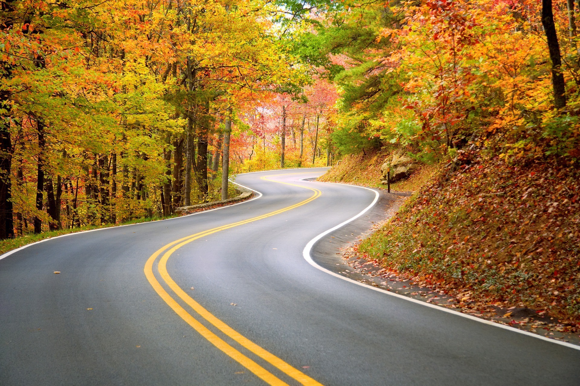 Taconic Parkway