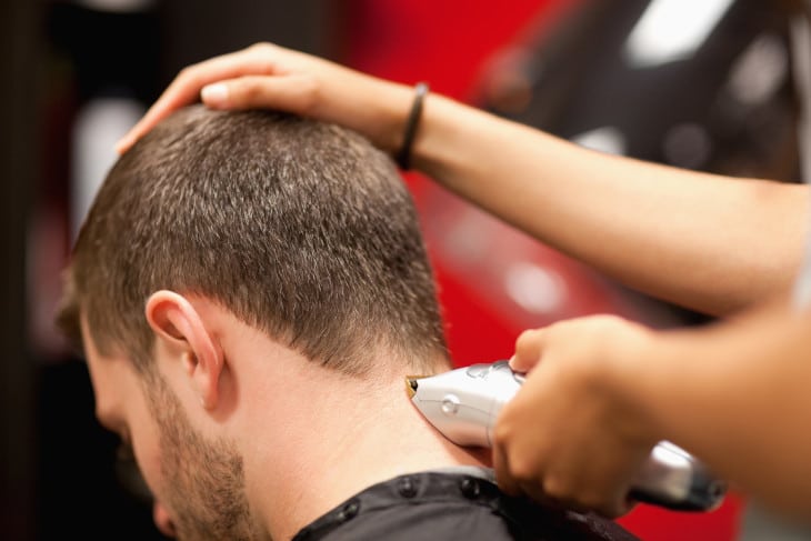 Best Alternatives to Clipper Oil