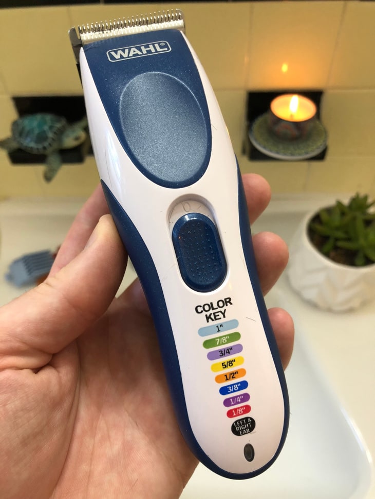 Learn How to Oil Clippers (and why you need to do it often)