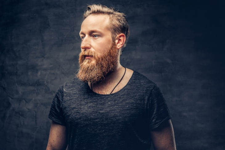 ducktail beard styles