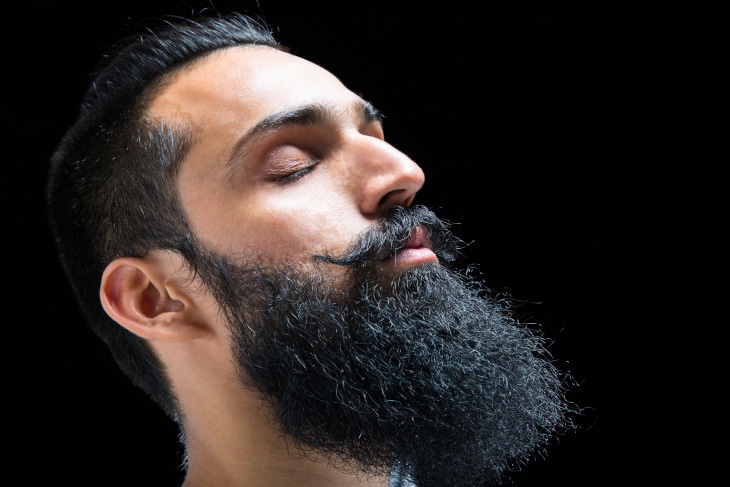 Viking Beard With English Mustache