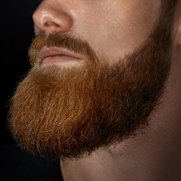 Beard Care