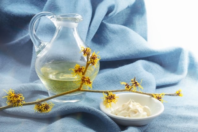 Witch Hazel - an Excellent Alternative to Aftershave